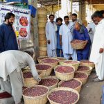 Traders and buyers gather around baskets filled with fresh seasonal fruit (Falsa) at a local fruit market, engaging in wholesale trading activity as business continues in the city
