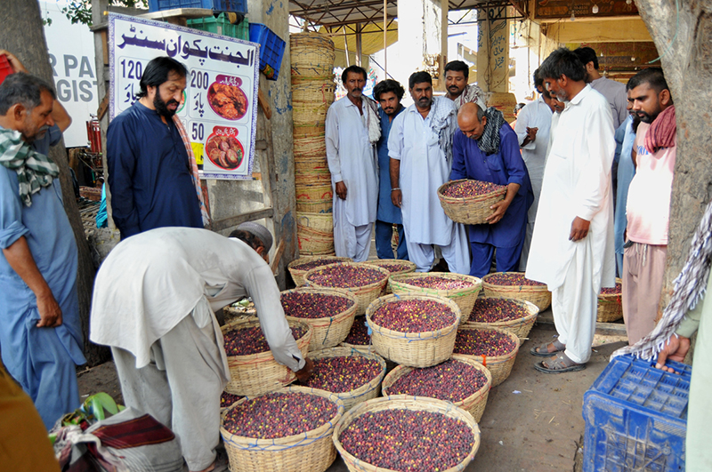 Traders and buyers gather around baskets filled with fresh seasonal fruit (Falsa) at a local fruit market, engaging in wholesale trading activity as business continues in the city