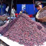 A vendor displays fresh falsa on a handcart to attract customers along Gul Centre Road