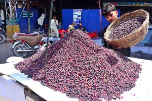 A vendor displays fresh falsa on a handcart to attract customers along Gul Centre Road
