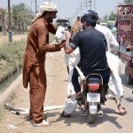 Motorcyclists are transporting a sacrificial goat on their motorcycle after purchasing it from the cattle market