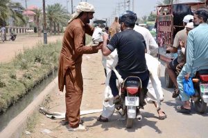 Motorcyclists are transporting a sacrificial goat on their motorcycle after purchasing it from the cattle market
