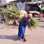 An elderly man carries a heavy bundle of green fodder through a busy local market
