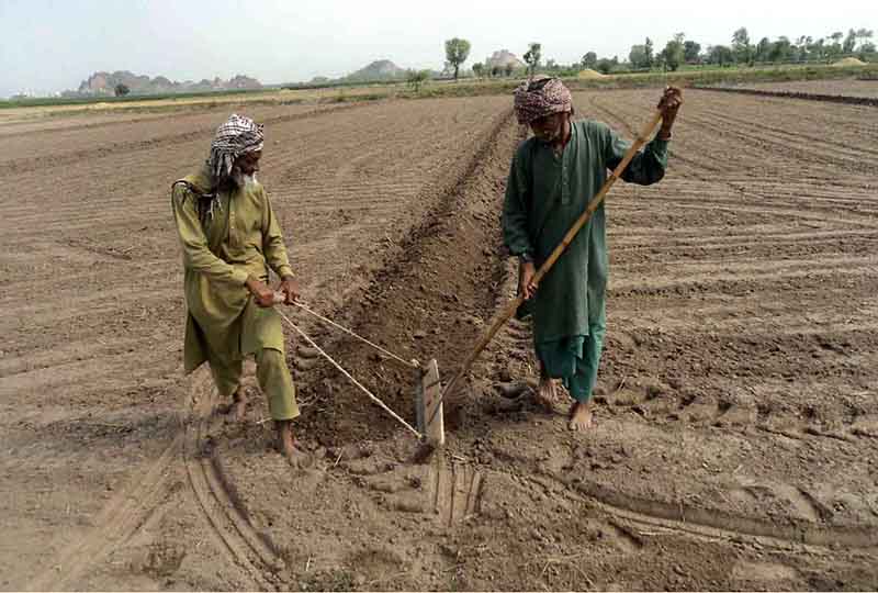 Two elderly farmers prepare land for the next crop using traditional methods along the banks of the River Chenab