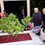 President Asif Ali Zardari offered Fateha and laid flowers on the grave of his father, Sardar Hakim Ali Zardari, at Baloo Ja Quba accompanied by his sister Fauzia Iqbal