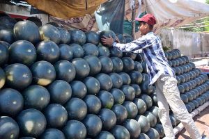 A vendor arranges watermelons in neat rows while selling them at his roadside stall to attract customers