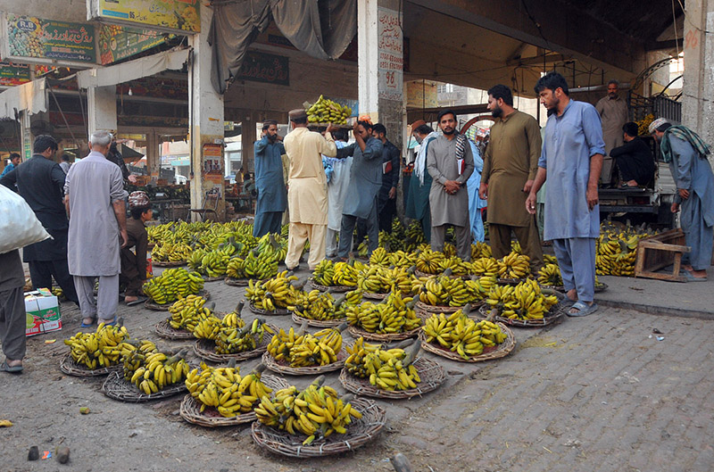 Vendors displaying bananas during an auction as shopkeepers participate in bidding on bananas at Fruit Market