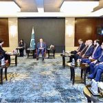 Prime Minister Muhammad Shehbaz Sharif meeting Chen Zhengjun, President and CEO of FAMSUN
