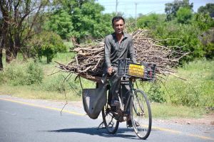 A farmer sprays pesticides on crops to protection in his agricultural field without using any safety gear, risking his health