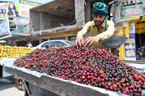 A vendor selling seasonal fruit Cherry on his cart at Khayam Chowk.