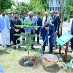 Federal Minister Azam Nazeer Tarar and Minister Farid Ahmadov planted a tree at the Ministry of Law and Justice