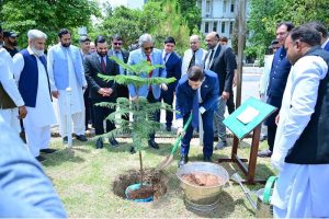 Federal Minister Azam Nazeer Tarar and Minister Farid Ahmadov planted a tree at the Ministry of Law and Justice