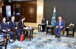 Prime Minister Muhammad Shehbaz Sharif meeting Chen Zhengjun, President and CEO of FAMSUN