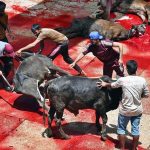Butchers are busy slaughtering sacrificial animals at Jamia Naeemia on the 1st day of Eidul Azha