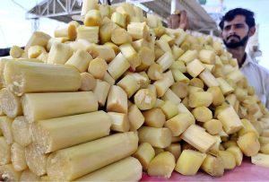 A vendor displaying sugarcane piece to attract the customers at New Bus Stand Road