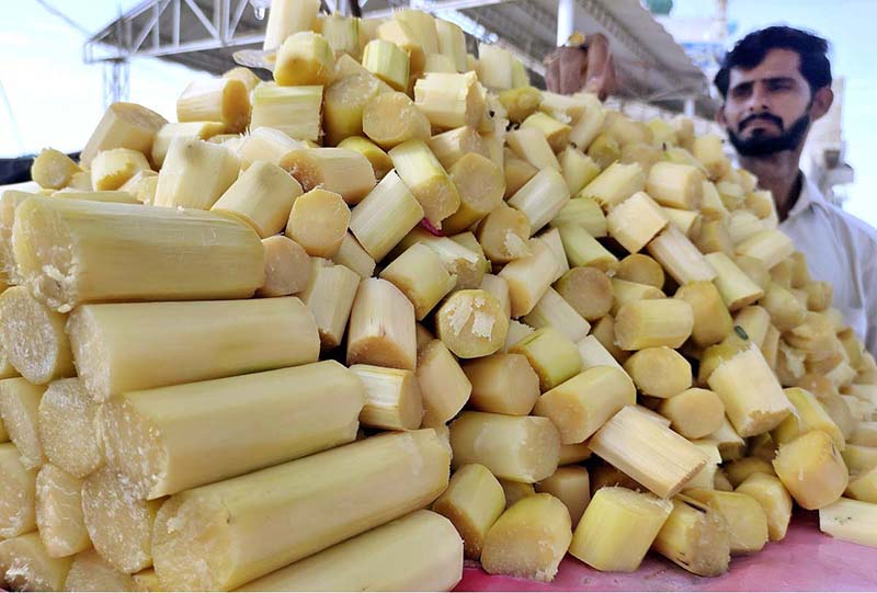 A vendor displaying sugarcane piece to attract the customers at New Bus Stand Road