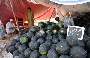 Vendors display and sell watermelons to attract customers on a hot day in the city at Stadium Road