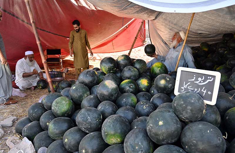 Vendors display and sell watermelons to attract customers on a hot day in the city at Stadium Road