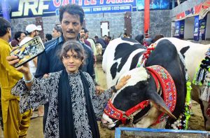A vendor walks through a cattle market with sacrificial animals, displaying to potential buyers and attracting customers ahead of Eid al-Azha in the city.