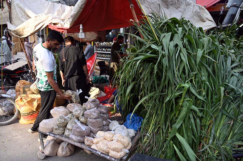 Customers browse a roadside stall selling green fodder, grain, and animal feed, as the market sees a surge in demand with Eid ul-Adha approaching, when millions of Muslims across the country sacrifice livestock to mark the holy occasion