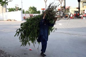 Customers browse a roadside stall selling green fodder, grain, and animal feed, as the market sees a surge in demand with Eid ul-Adha approaching, when millions of Muslims across the country sacrifice livestock to mark the holy occasion