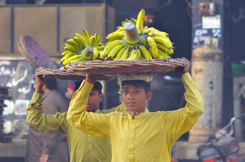 Young daily wage workers carry baskets of bananas on their heads for supply while the world observes International Labour Day