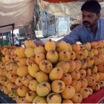 A vendor arranges mangoes to attract customers at a roadside stall