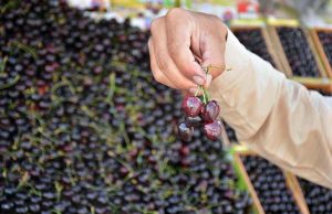 A street vendor displays fresh cherries on his push cart at Pishin Stop, drawing the attention of passersby and consumers.