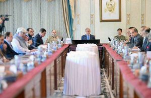 Prime Minister Muhammad Shehbaz Sharif chairs progress review meeting on reforms in power sector