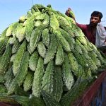 A vendor displaying the fresh vegetable to attract the customers at his roadside setup