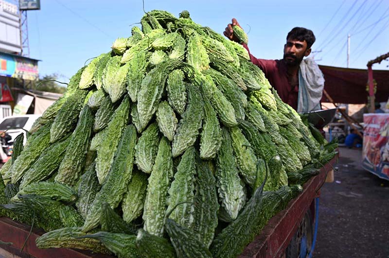A vendor displaying the fresh vegetable to attract the customers at his roadside setup