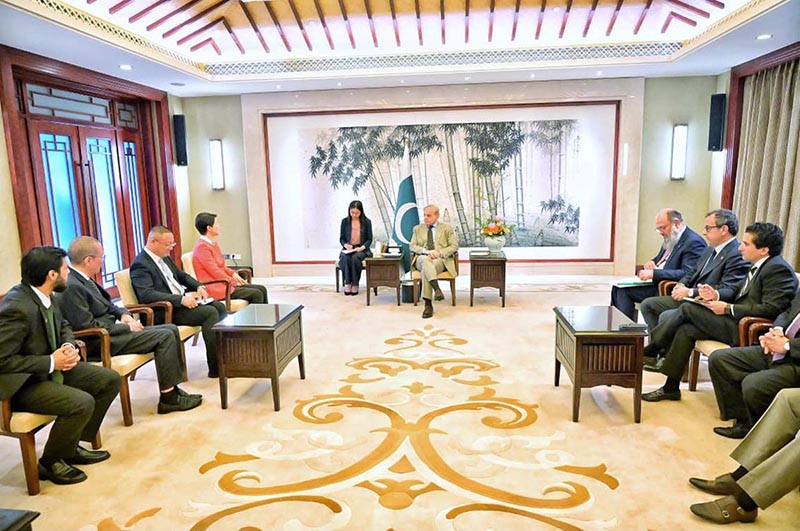 Chairwoman of Starcharge Group, Ms. Danwei Shao calls on Prime Minister Muhammad Shehbaz Sharif