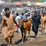 People on the way along with sacrificial animal after purchasing from the Ring Road Cattle Market
