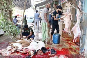 Butchers slaughtering sacrificial animal on the first day Eidul Azha