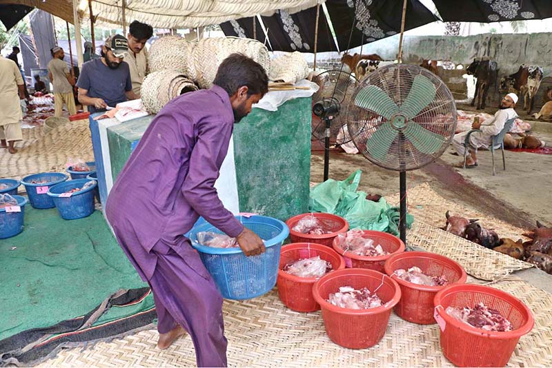 Butchers busy dividing meat into seven portions after slaughtering sacrificial animals on the first day of Eidul Azha