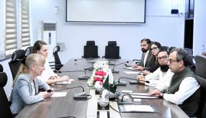 Federal Minister for Power, Sardar Awais Ahmed Khan Leghari, in a meeting with German Ambassador to Pakistan, Ina Lepel