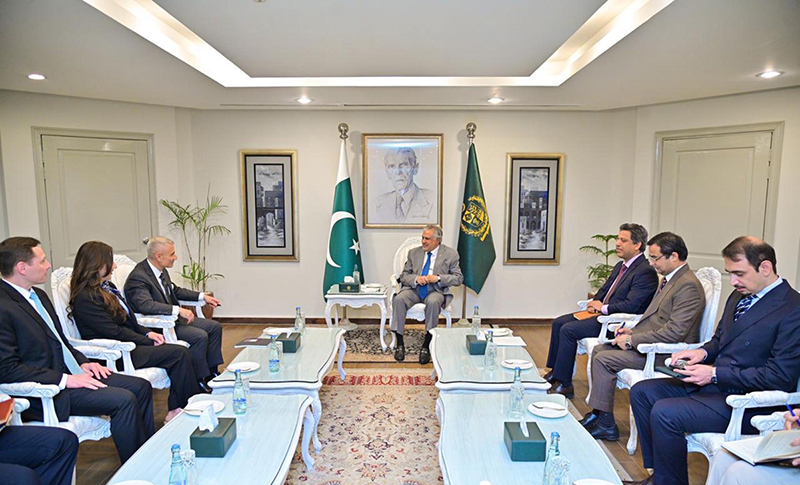 U.S. Assistant Secretary of State for South and Central Asian Affairs, Paul Kapur, calls on the Deputy Prime Minister and Foreign Minister Senator Mohammad Ishaq Dar, at MoFA