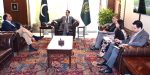 Gilani, Finance Minister discuss austerity measures, institutional reforms