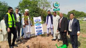 NDMA, FGRF join hands for plantation drive to boost climate resilience