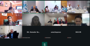 D-8 member states hold high-level consultation on visa facilitation