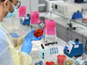 SFDA activates round-the-clock labs to protect pilgrims during Hajj season