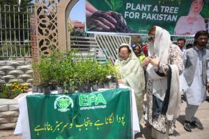 Tree plantation drive held at Millia Park to promote greener Rawalpindi