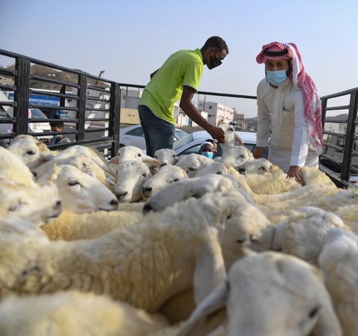 Saudi postal service launches sacrificial coupon service for Hajj pilgrims