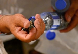 Pilgrims collect pebbles in Muzdalifah Rami for Al-Jamarat