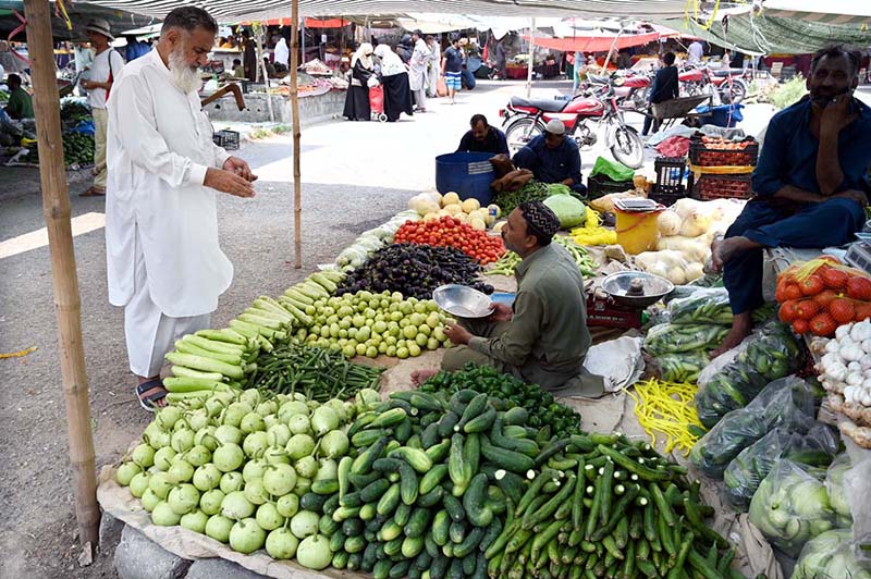 People busy purchasing vegetables from stall at I/9-4 weekly bazaar in Federal Capital