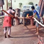 Workers are busy giving heat to straighten the bamboos at their workplace