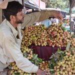 A vendor displaying and selling seasonal fruit litchi to attract customers