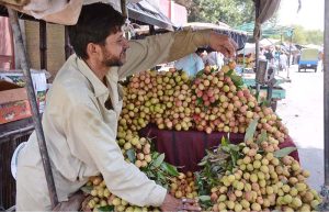 A vendor displaying and selling seasonal fruit litchi to attract customers