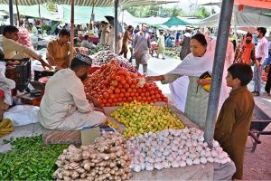 People busy purchasing vegetables from stall at I/9-4 weekly bazaar in Federal Capital