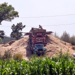 A worker loads husk onto a traditionally decorated truck near large mounds of husk at a Park road, surrounded by lush green crop fields